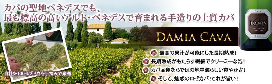 アルティーガ フステル　ダミア　カバ