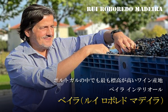 ベイラ（ルイ ロボレド マデイラ）