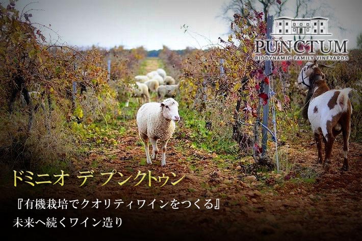 ドミニオ デ プンクトゥン