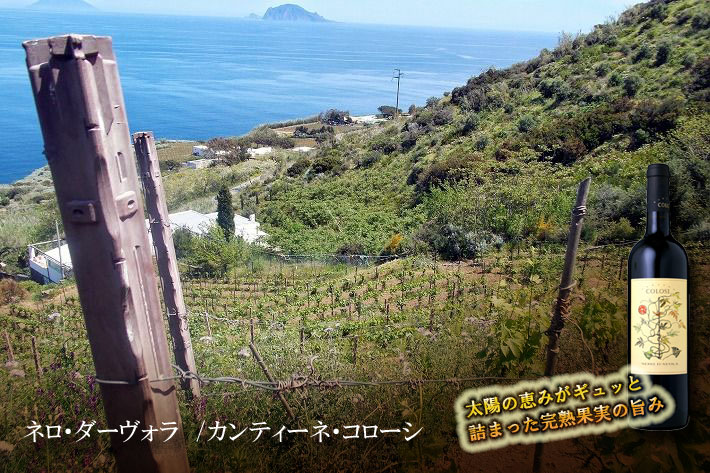 カンティーネ・コローシ