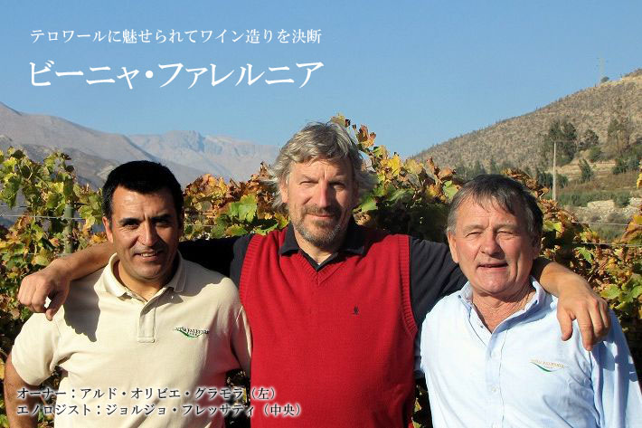 ビーニャ・ファレルニア