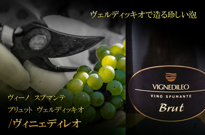 ヴィニェディレオ